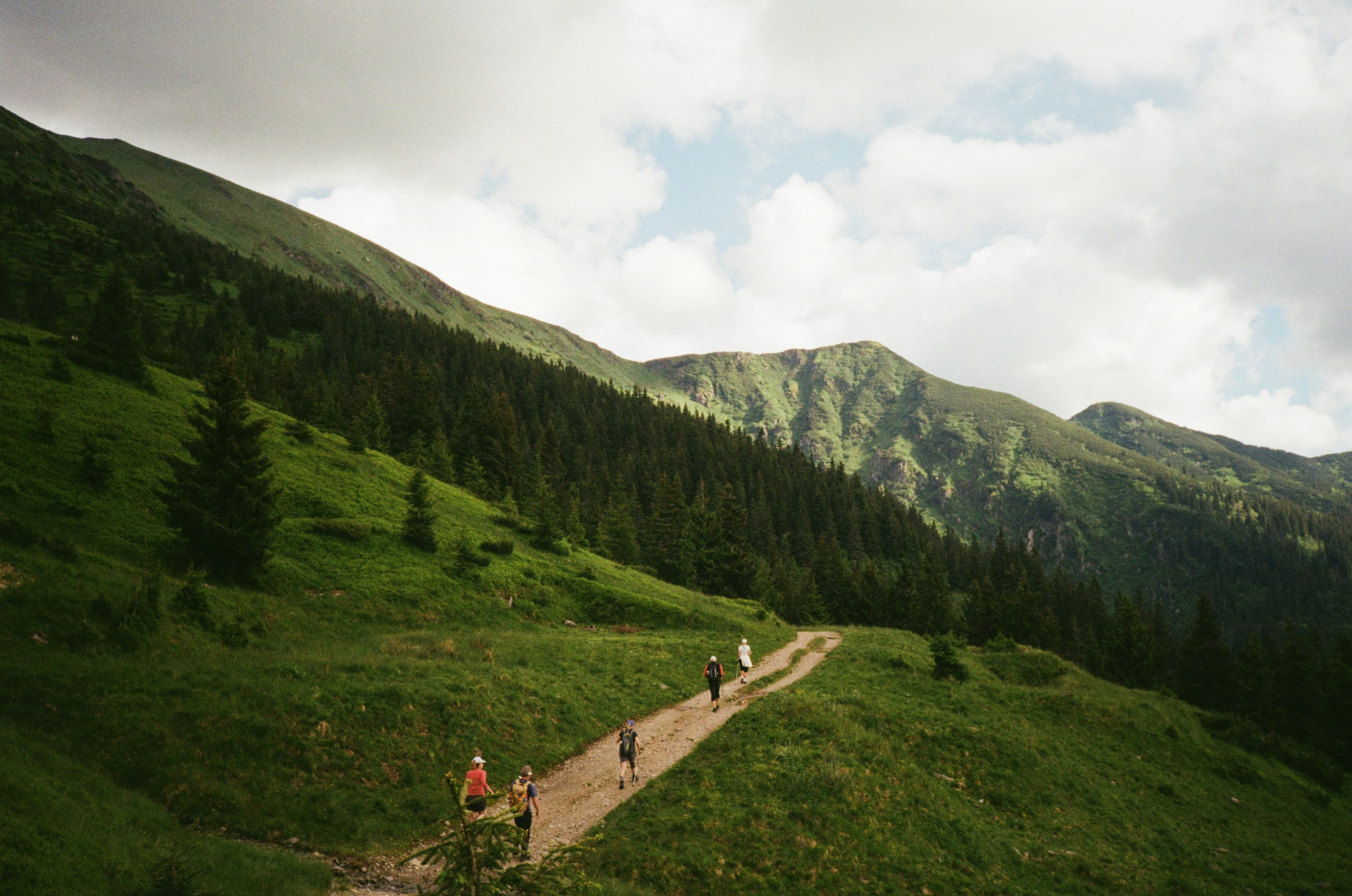 people walking on green grass field near green trees and mountains during daytime